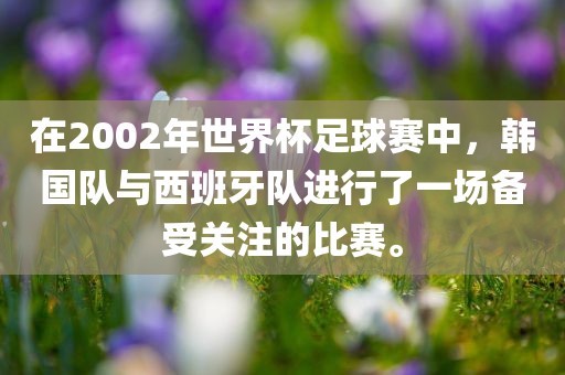 在2002年世界杯足球赛中，韩国队与西班牙队进行了一场备受关注的比赛。