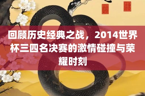 回顾历史经典之战，2014世界杯三四名决赛的激情碰撞与荣耀时刻