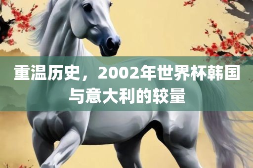 韩国与意大利对决