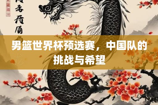 男篮世界杯预选赛，中国队的挑战与希望