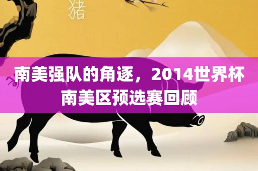 南美漯河市盈旭机械设备有限公司强队的角逐，2014世界杯南美区预选赛回顾