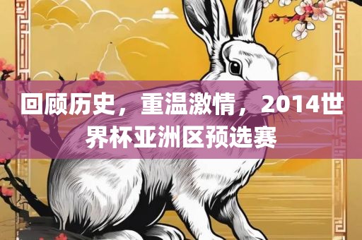 回顾历史，重温激情，2014世界杯亚洲区预选赛