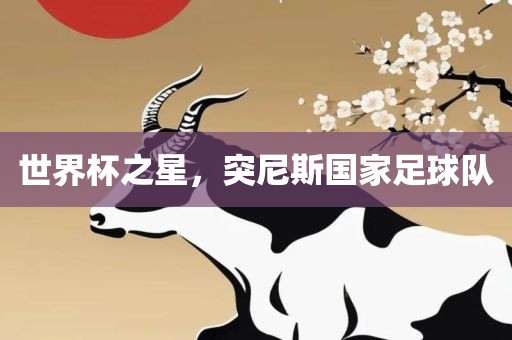 世界杯之星，突尼斯国家足球队