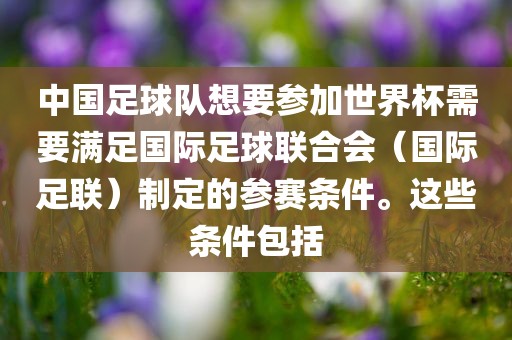 中国足球队想要参加世界杯需要满足国际足球联合会（国际足联）制定的参赛条件。这些条件包括