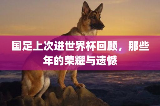 国足上次进世界杯回顾，那些年的荣耀与遗憾