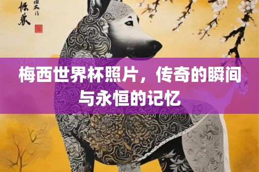 梅西世界杯照片，传奇的瞬间与永恒的记忆