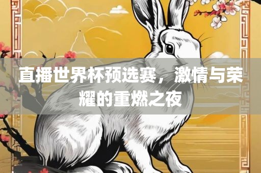直播世界杯预选赛，激情与荣耀的重燃之夜