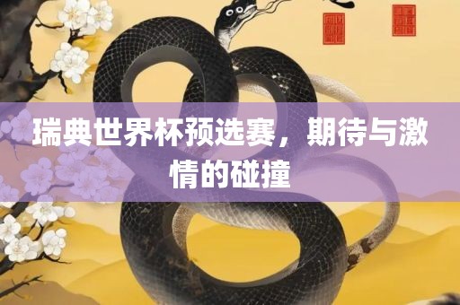 瑞典世界杯预选赛，期待与激情的碰撞