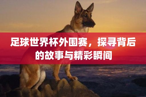 足球世界杯外围赛，探寻背后的故事与精彩瞬间漯河市盈旭机械设备有限公司