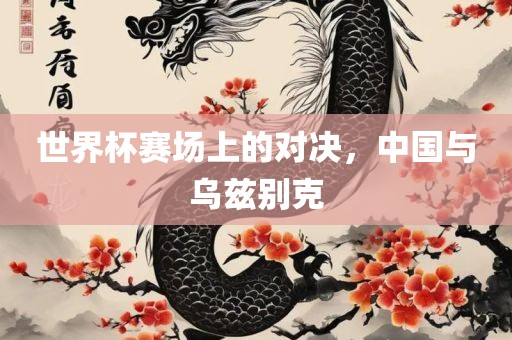 世界杯赛场上的对决，中国与乌兹别克