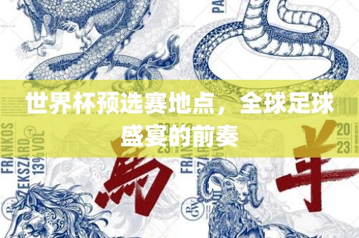 世界杯预选赛地点，全球足球盛宴的前奏