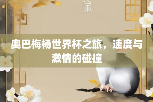 奥巴梅杨世界杯之旅，速度与激情的碰撞
