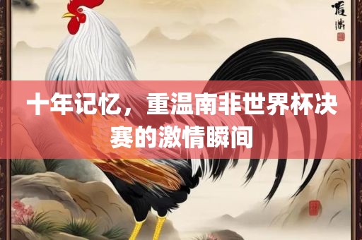 十年记忆，重温南非世界杯决赛的激情瞬间