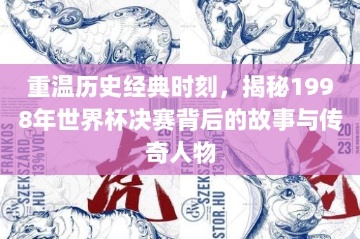 重温历史经典时刻，揭秘1998年世界杯决赛背后的故事与传奇人物漯河市盈旭机械设备有限公司