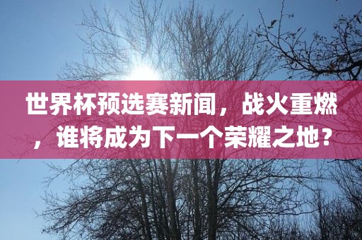 世界杯预选赛新闻，战火重燃，谁将成为下一个荣耀之地？