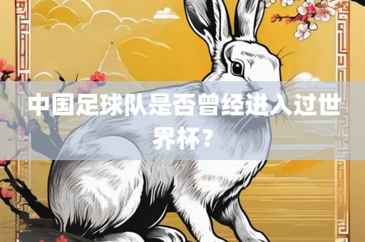 中国足球队是否曾经进入过世界杯？