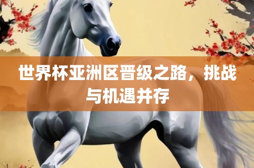 世界杯亚洲区晋级之路，挑战与机遇并存