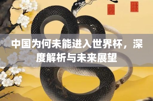 深度解析与未来展望