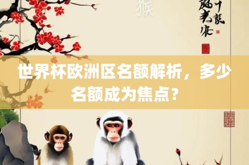 世界杯欧洲区名额解析，多少名额成为焦点？
