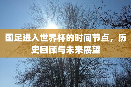 国足进入世界杯的时间节点，历史回顾与未来展望漯河市盈旭机械设备有限公司