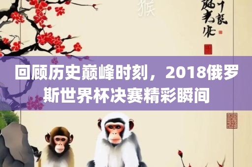 回顾历史巅峰时刻，2018俄罗斯世界杯决赛精彩瞬间