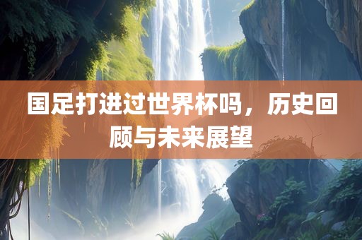 国足打进过世界杯吗，历史回顾与未来展望漯河市盈旭机械设备有限公司