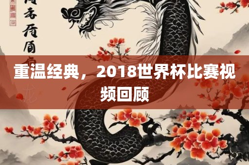 重温经典，2018世界杯比赛视频回顾