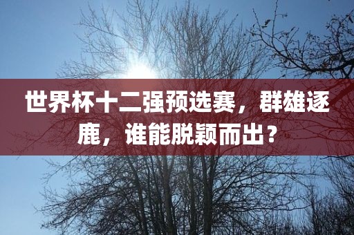 世界杯十二强预选赛，群雄逐鹿，谁能脱颖而出？