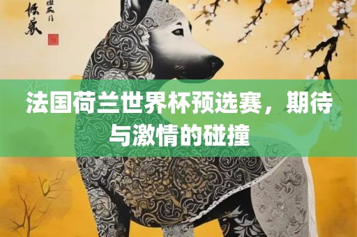 法国荷兰世界杯预选赛，期待与激情的碰撞漯河市盈旭机械设备有限公司
