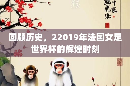 回顾历史，22019年法国女足世界杯的辉煌时刻
