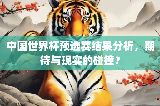 中国世界杯预选赛结果分析，期待与现实的碰撞？