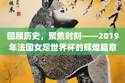 回顾历史，聚焦时刻——2019年法国女足世界杯的辉煌篇章