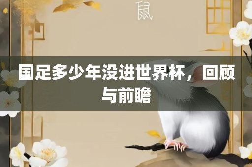 国足多少年没进世界杯，回顾与前瞻