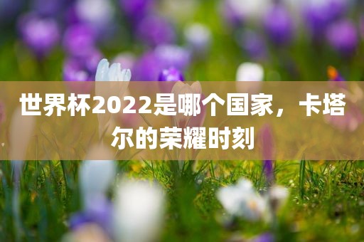 世界杯2022是哪个国家，卡塔尔的荣耀时刻