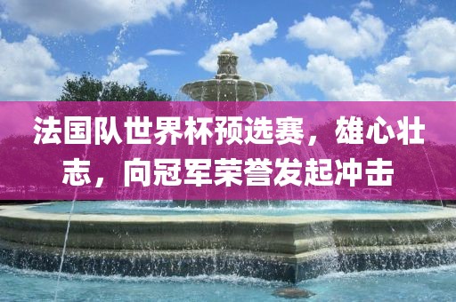 法国队世界杯预选赛，雄心壮志，向冠军荣誉发起冲击漯河市盈旭机械设备有限公司