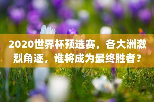2020世界杯预选赛，各大洲激烈角逐，谁将成为最终胜者？