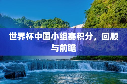 世界杯中国小组赛积分，回顾与前瞻