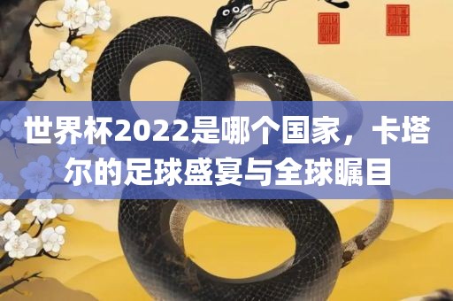 世界杯2022是哪个国家，卡塔尔的足球盛宴与全球瞩目