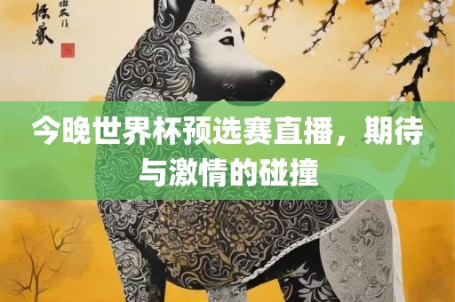 今晚世界杯预选赛直播，期待与激情的碰撞
