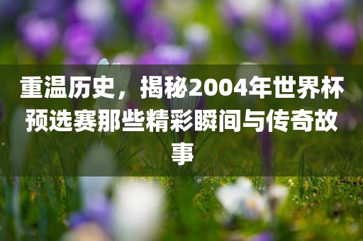 重温历史，揭秘2004年世界杯预选赛那些精彩瞬间与传奇故事漯河市盈旭机械设备有限公司
