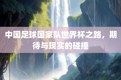 中国足球国家队世界杯之路，期待与现实的碰撞
