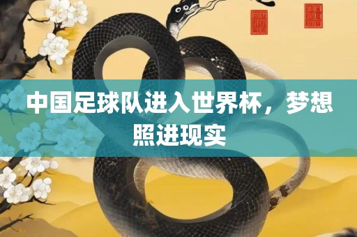 中国足球队进入世界杯，梦想照进现实