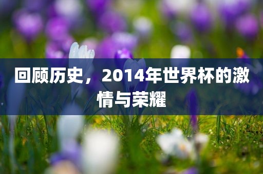 回顾历史，2014年世界杯的激情与荣耀