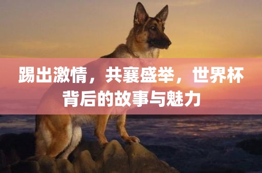 踢出激情，共襄盛举，世界杯背后的故事与魅力