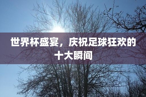 世界杯盛宴，庆祝足球狂欢的十大瞬间