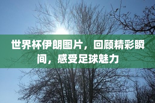 世界杯伊朗图片，回顾精彩瞬间，感受足球魅力漯河市盈旭机械设备有限公司