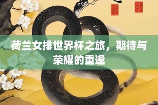 荷兰女排世界杯之旅，期待与荣耀的重漯河市盈旭机械设备有限公司逢