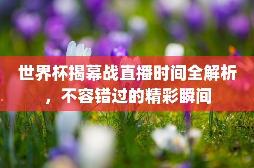 世界杯揭幕战直播时间全解析，不容错过的精彩瞬间