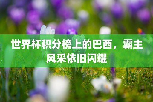 世界杯积分榜上的巴西，霸主风采依旧闪耀