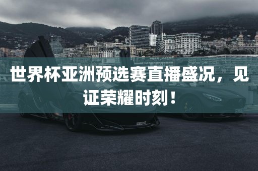 世界杯亚洲预选赛直播盛况，见证荣耀时刻！